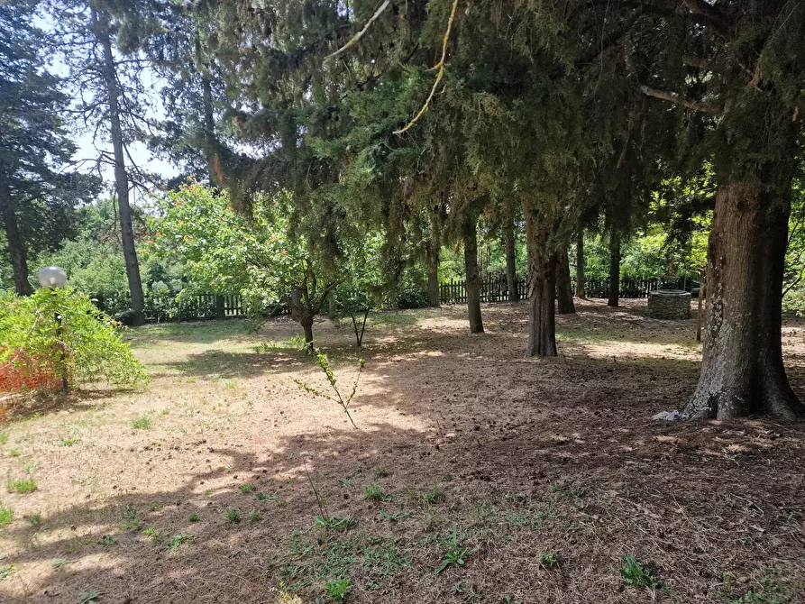 Immagine 59 di Villa in vendita  in Via dei Cespugli 12 a Passignano Sul Trasimeno