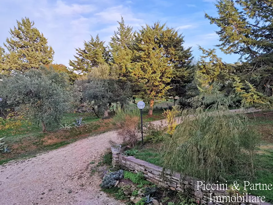 Immagine 5 di Rustico / casale in vendita  in Vocabolo Mercato Alto a Paciano