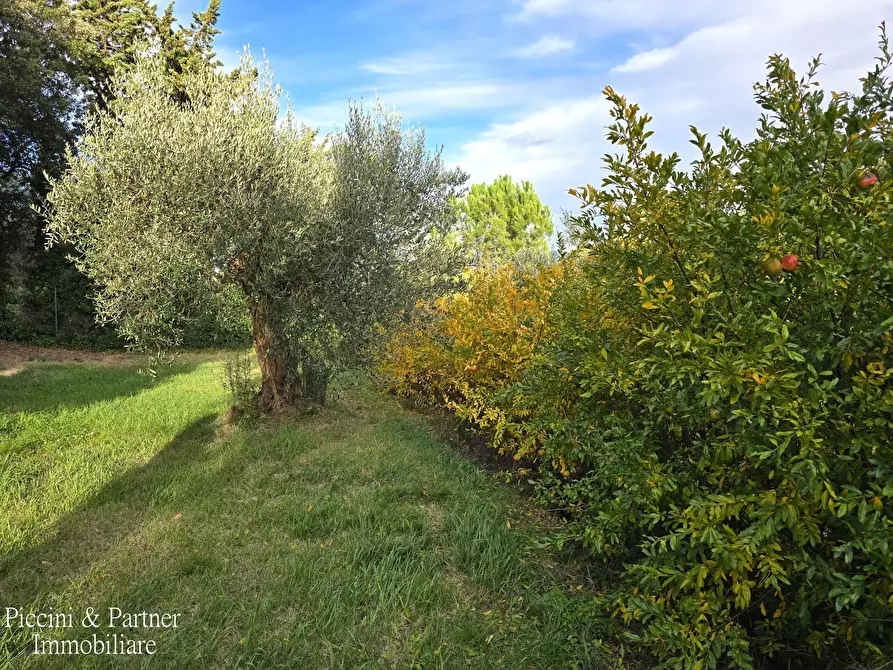 Immagine 74 di Rustico / casale in vendita  in Vocabolo Coccimignolo 36 a Marsciano