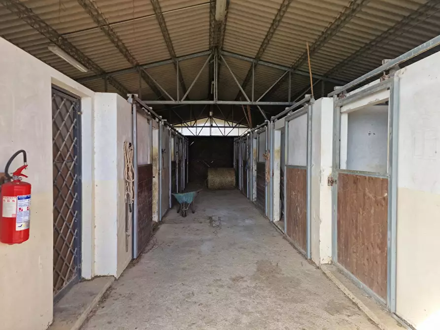 Immagine 69 di Rustico / casale in vendita  in Via del Conventaccio a Ficulle