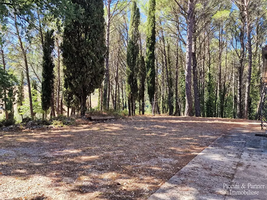 Immagine 9 di Rustico / casale in vendita  in Ex S. Maria a Umbertide