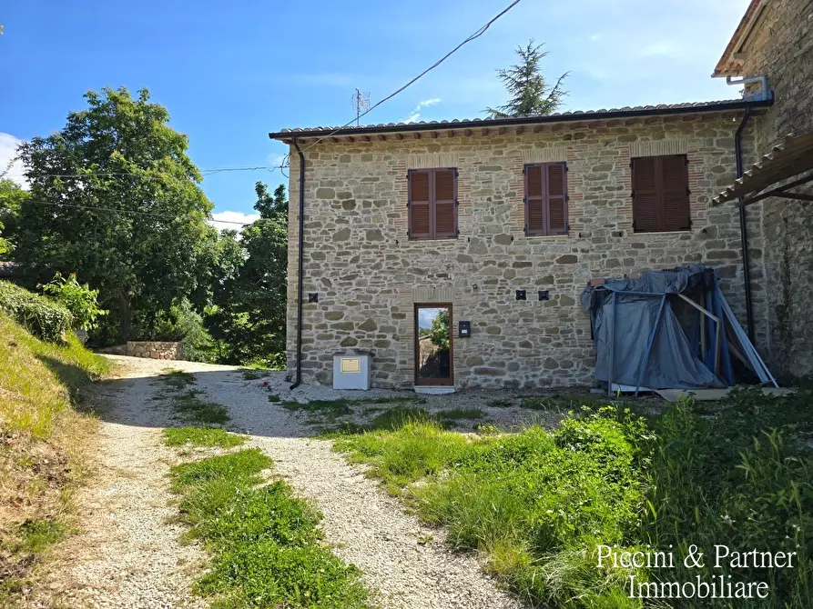 Immagine 4 di Rustico / casale in vendita  a Assisi