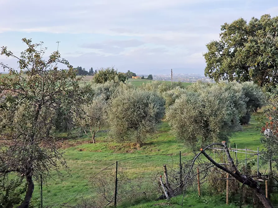 Immagine 24 di Rustico / casale in vendita  in Vocabolo Mercato Alto a Paciano