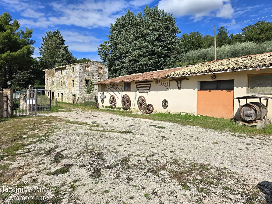 Immagine 4 di Rustico / casale in vendita  in SR 444 Pian della Pieve a Assisi