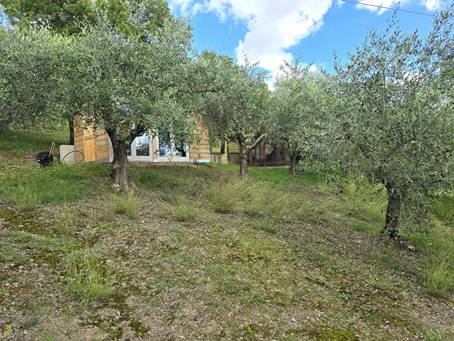Immagine 77 di Villa in vendita  in Via dei Romani a Magione