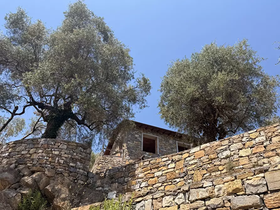 Immagine 27 di Villa in vendita  in Strada Interpoderale Moltedo - Ciai 13 a Diano San Pietro