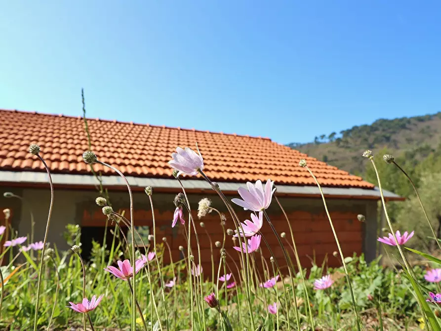 Immagine 1 di Casa indipendente in vendita  in strada colletta a Diano Arentino