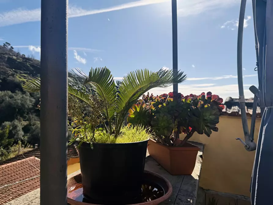 Immagine 15 di Porzione di casa in vendita  in Via Partigiani a Diano San Pietro