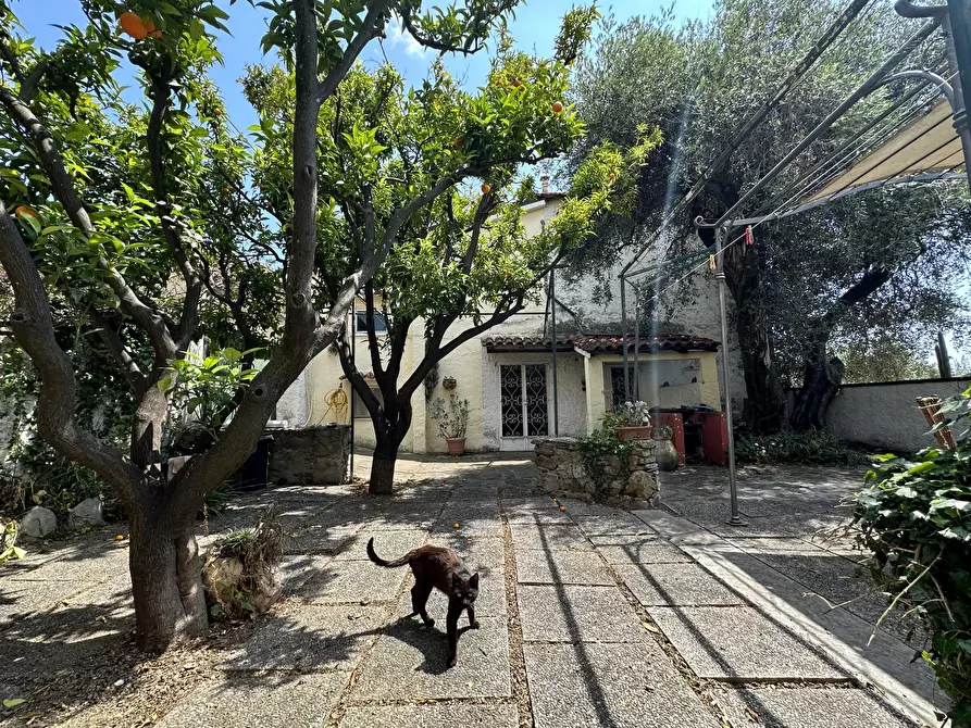 Immagine 6 di Rustico / casale in vendita  in via Garibaldi a Diano San Pietro