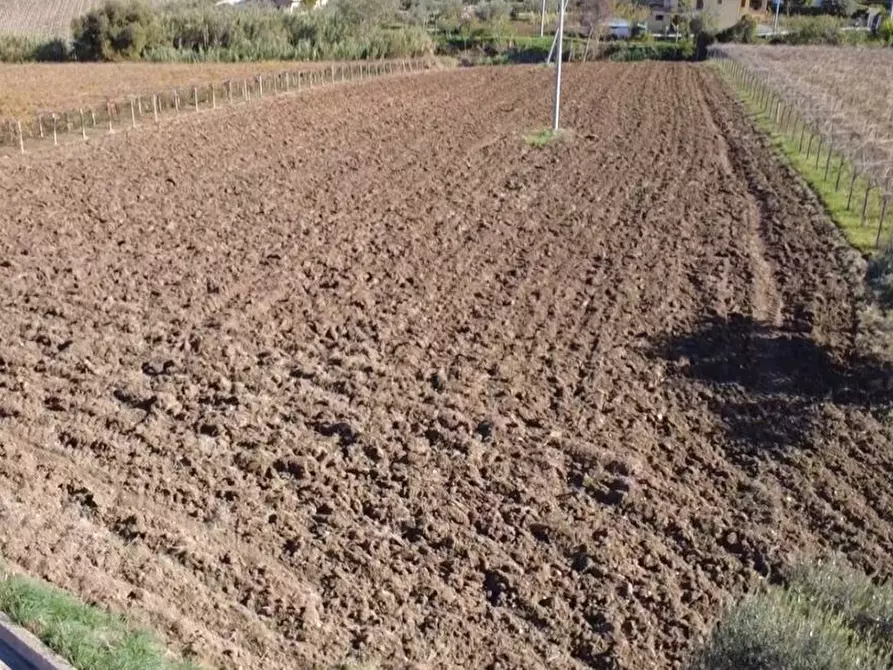 Immagine 5 di Terreno edificabile in vendita  in Contrada Codacchie 58 a Rocca San Giovanni