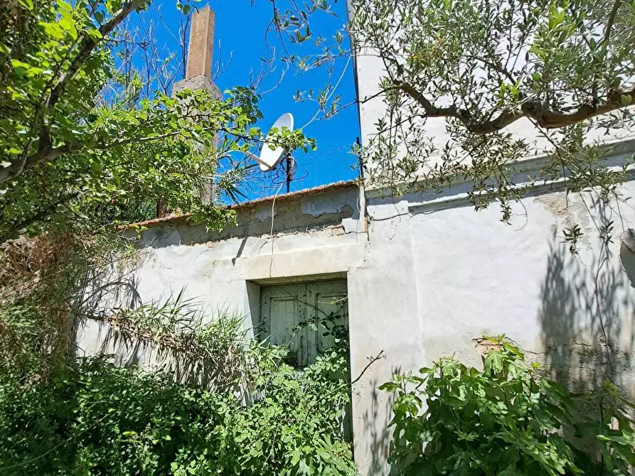 Immagine 6 di Rustico / casale in vendita  in STRADA P. MEDIANA 51 a Fossacesia