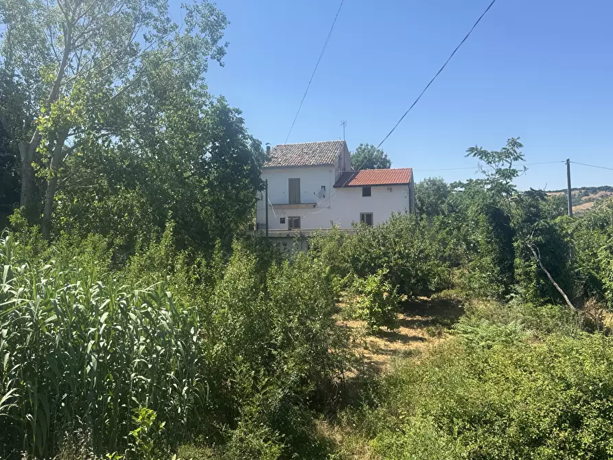Immagine 36 di Casa indipendente in vendita  in torricchio a Tornareccio