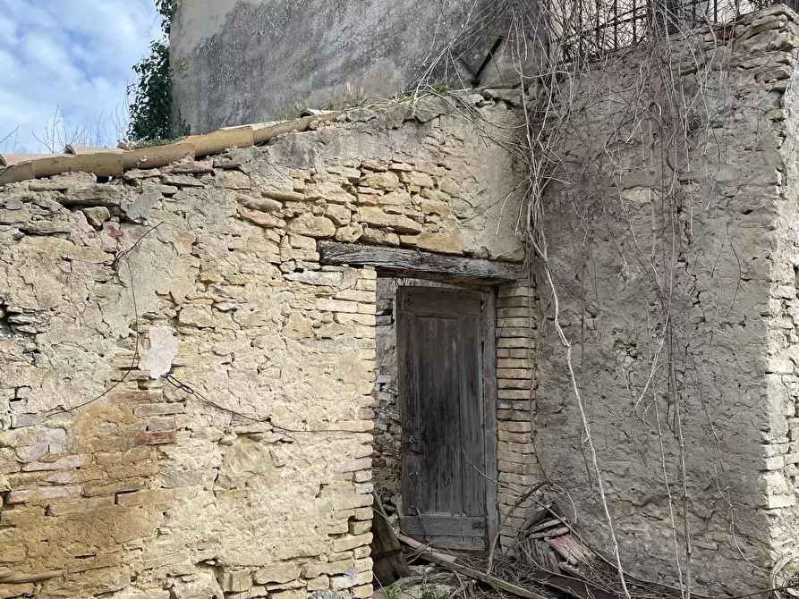 Immagine 29 di Rustico / casale in vendita  in C.DA CASTELLANA a Treglio