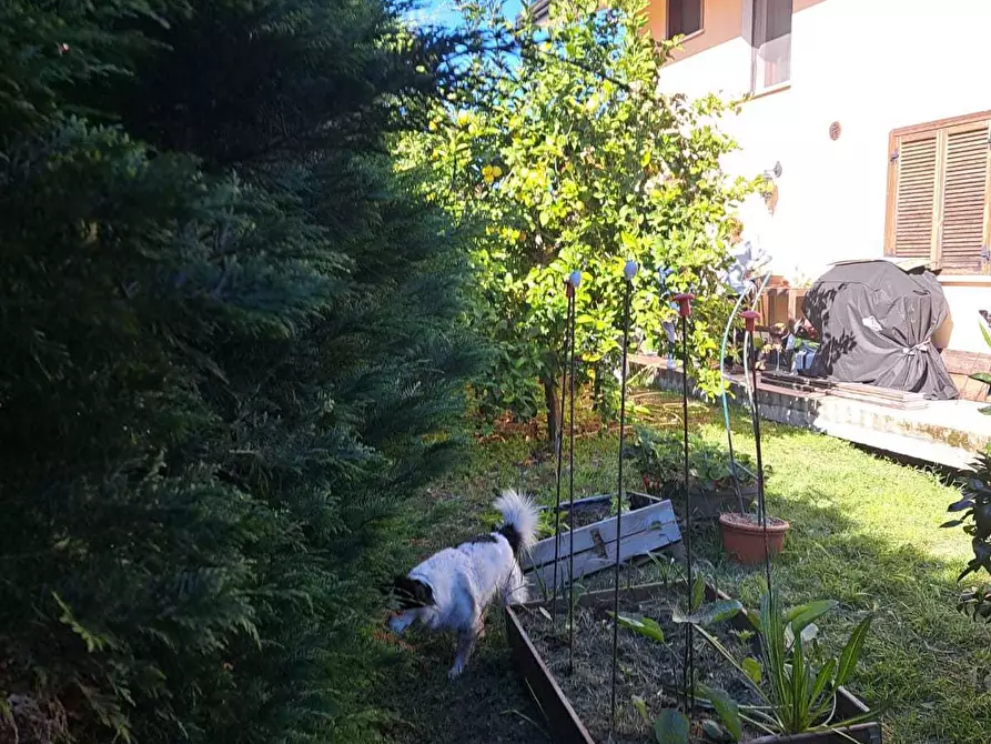 Immagine 9 di Villetta a schiera in vendita  in Via San Giorgio 99 a Treglio