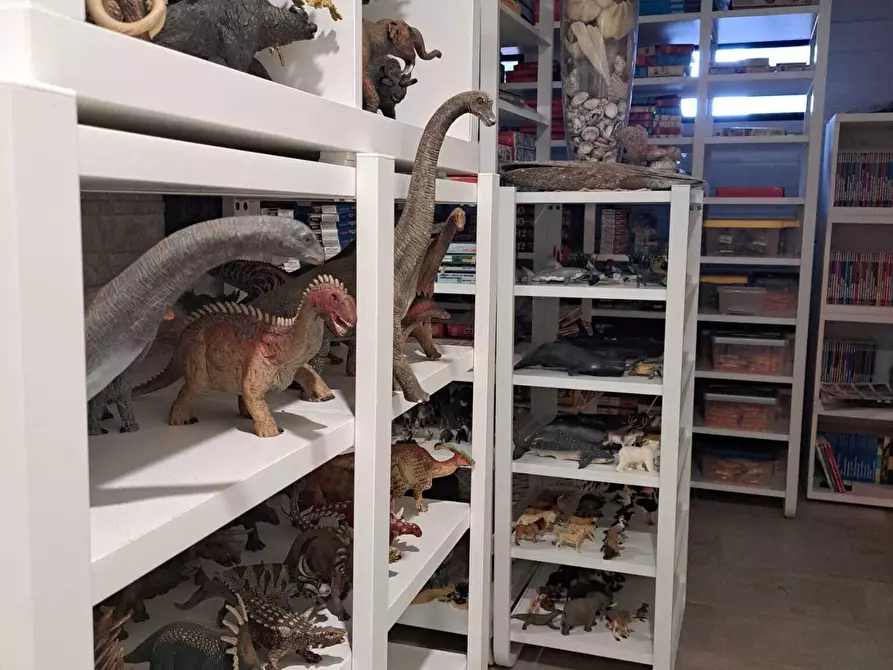 Immagine 37 di Villa in vendita  in Via del Mare 200 a Lanciano