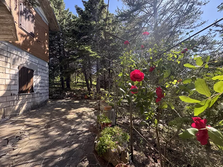 Immagine 4 di Villa in vendita  in Via Gianvincenzo Pellicciotti 2 a Gessopalena