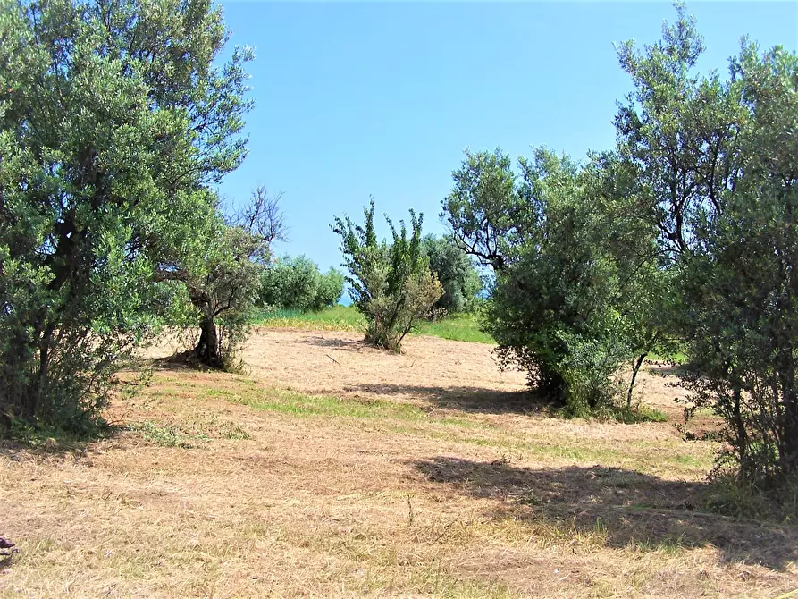 Immagine 2 di Terreno industriale in vendita  in contrada puglianna a Treglio