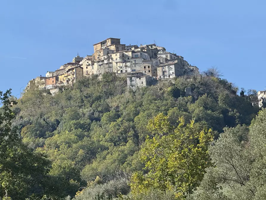 Immagine 4 di Terratetto in vendita  a San Buono