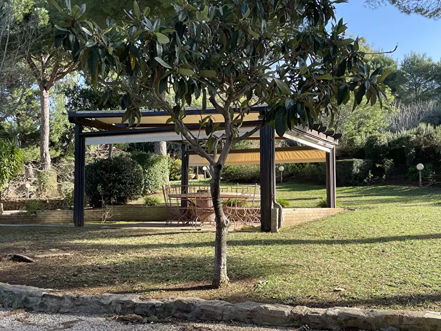 Immagine 5 di Villa in vendita  in Via Aurelia Sud a San Vincenzo