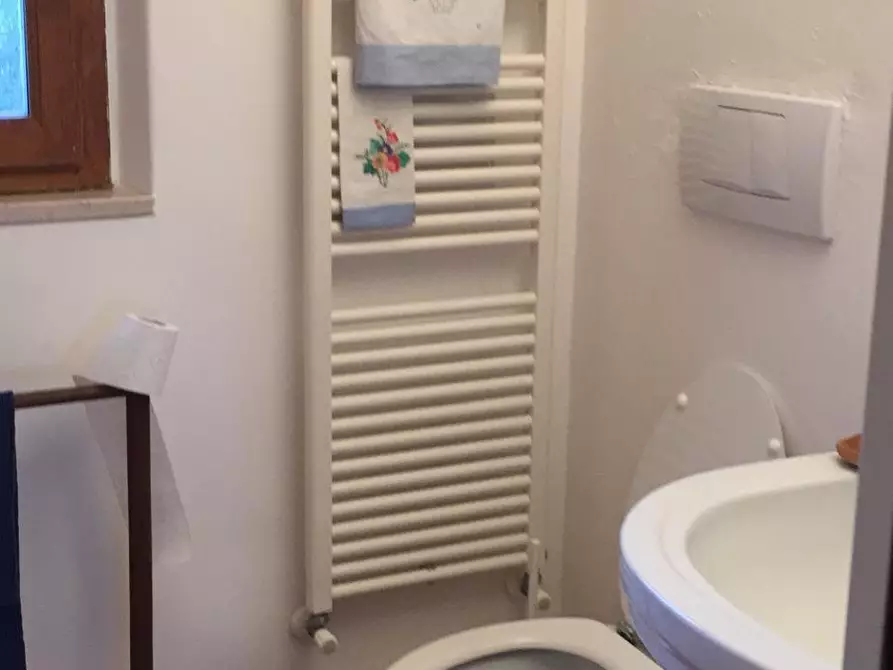 Immagine 23 di Rustico / casale in vendita  in Via della Sassetta a Castagneto Carducci