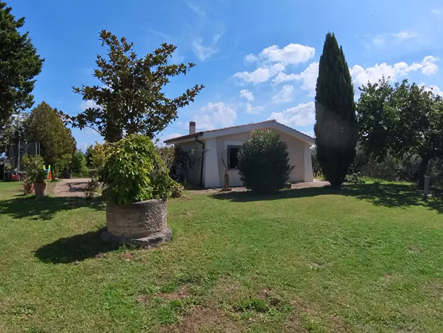 Immagine 68 di Rustico / casale in vendita  in Via Campagnanese 874 a Morlupo