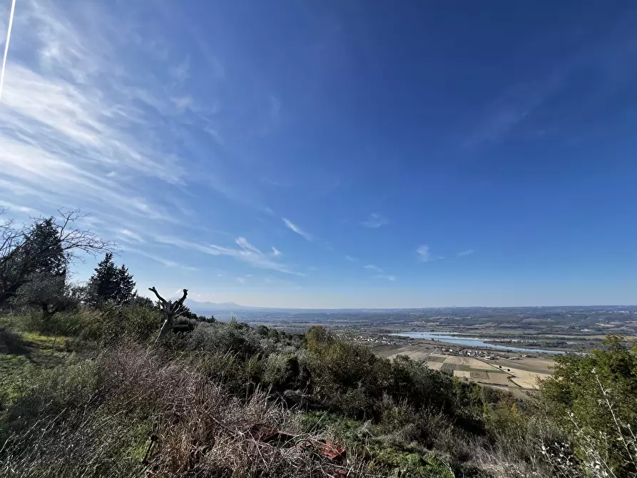 Immagine 82 di Rustico / casale in vendita  in Vocabolo Pupiglian 1 a Guardea