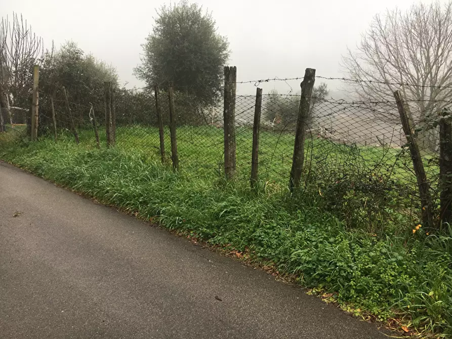 Immagine 2 di Terreno agricolo in vendita  in Via Monte Calcaro 51 a Sacrofano