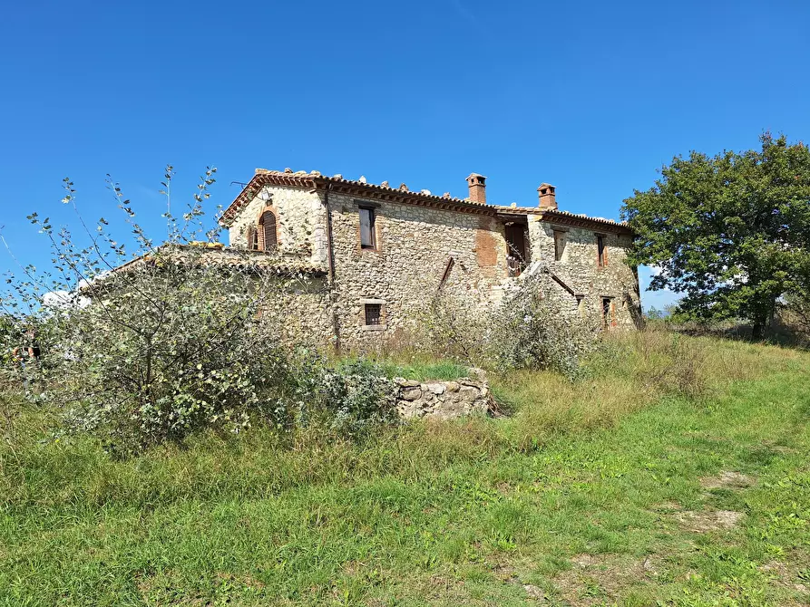 Immagine 1 di Rustico / casale in vendita  in Vocabolo Pupiglian 1 a Guardea