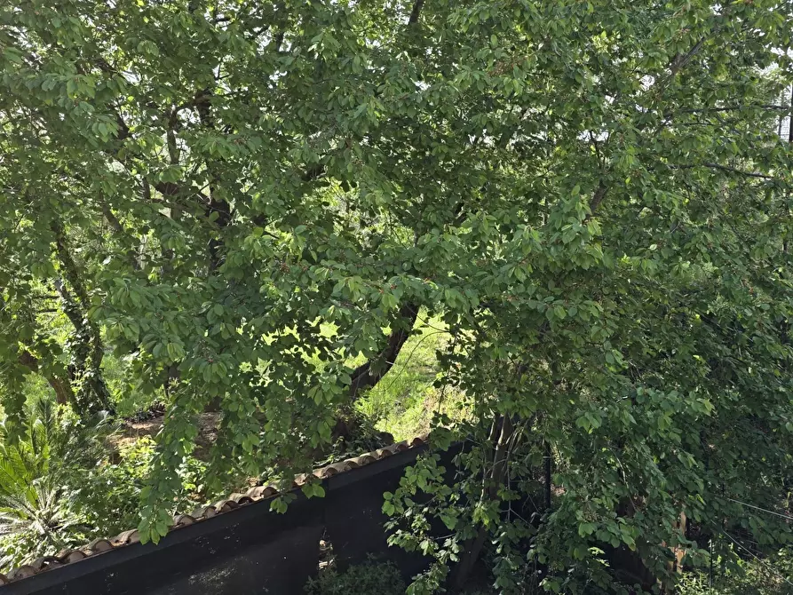 Immagine 32 di Villetta a schiera in affitto  in Via Flaminia 2027 a Morlupo