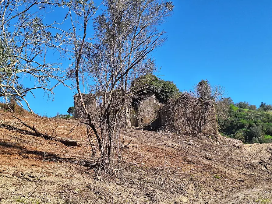 Immagine 1 di Palazzo in vendita  in via delle grotte a Morlupo