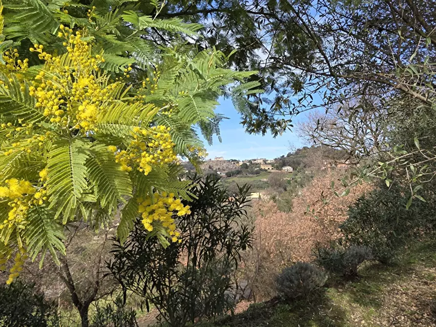 Immagine 33 di Villa in vendita  in Via Monte la Pera 22 a Castelnuovo Di Porto
