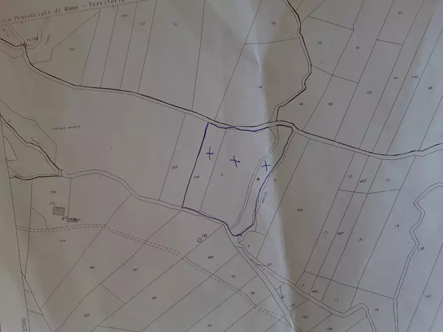 Immagine 4 di Terreno agricolo in vendita  in Via della valle s.n.c a Morlupo