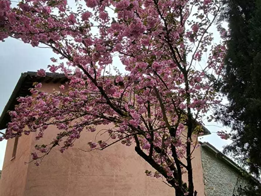 Immagine 27 di Terratetto in vendita  in Frazione Rasenna 1 a Visso