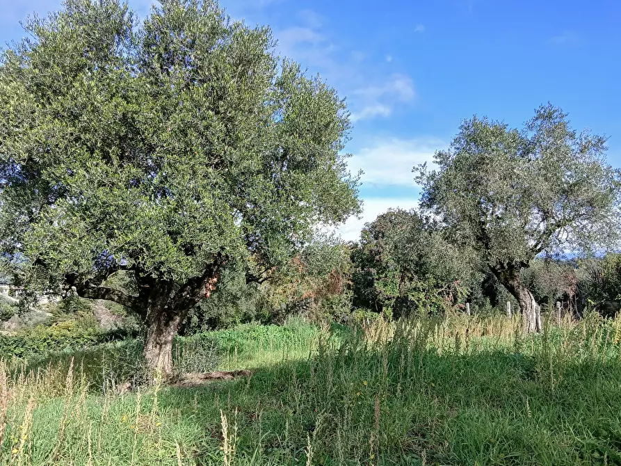 Immagine 17 di Terreno edificabile in vendita  in Via Enzo Ferrari 5 a Morlupo