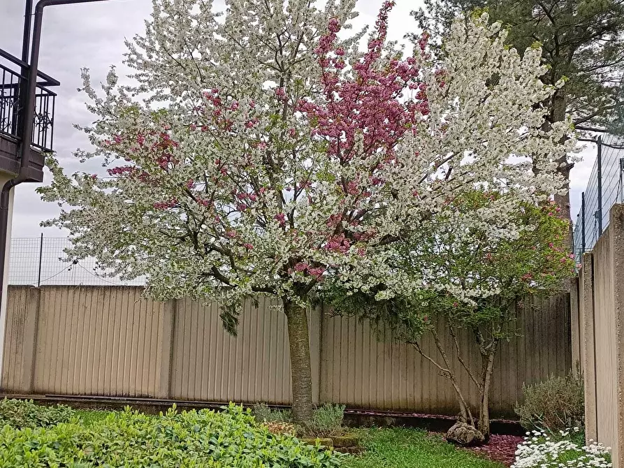 Immagine 77 di Casa bifamiliare in vendita  in Via Lombardore 243 a Ciriè