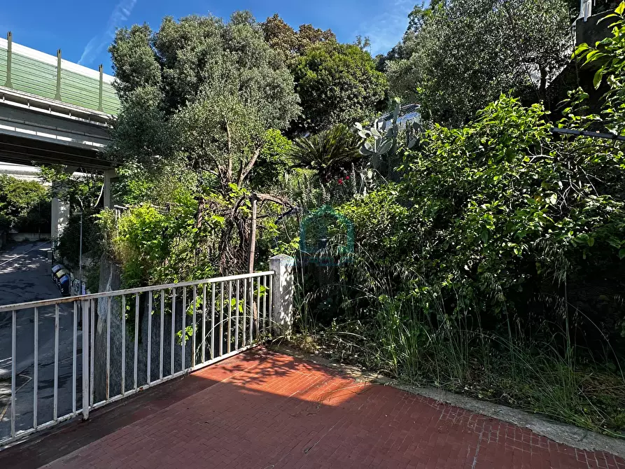 Immagine 21 di Trilocale in vendita  in Via Nicolò Sardi 30 a Varazze