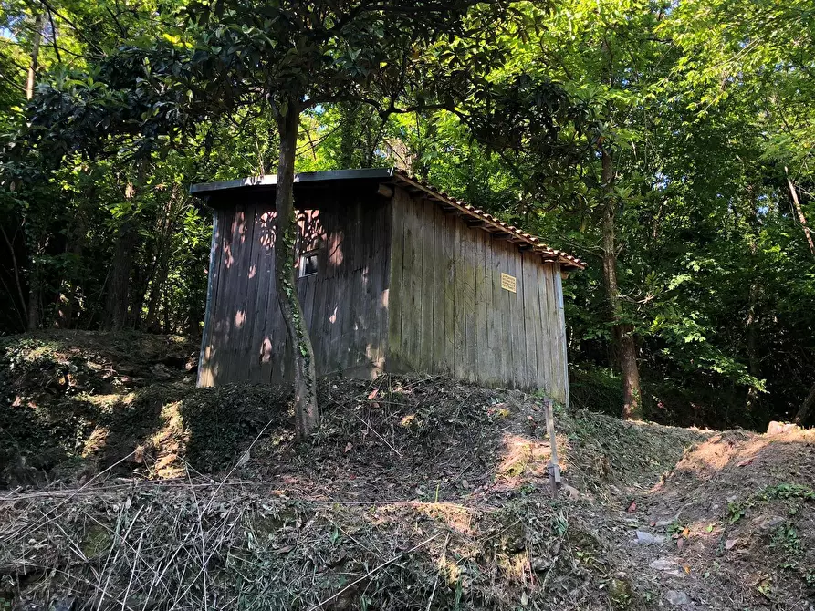 Immagine 3 di Terreno agricolo in vendita  a Leivi