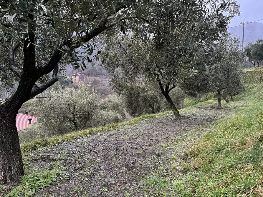 Immagine 7 di Porzione di casa in vendita  a San Colombano Certenoli