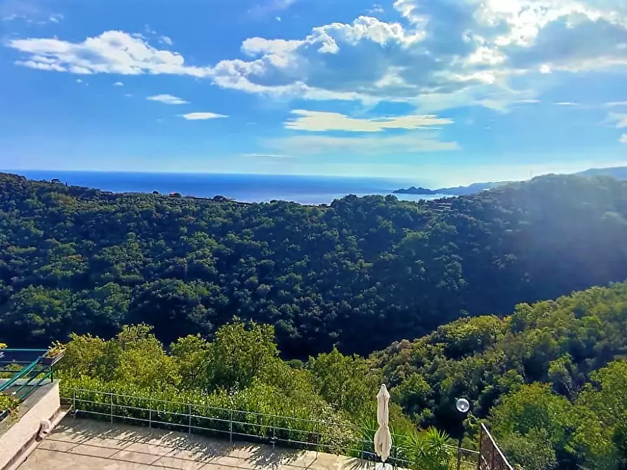 Immagine 32 di Bilocale in affitto  a Chiavari