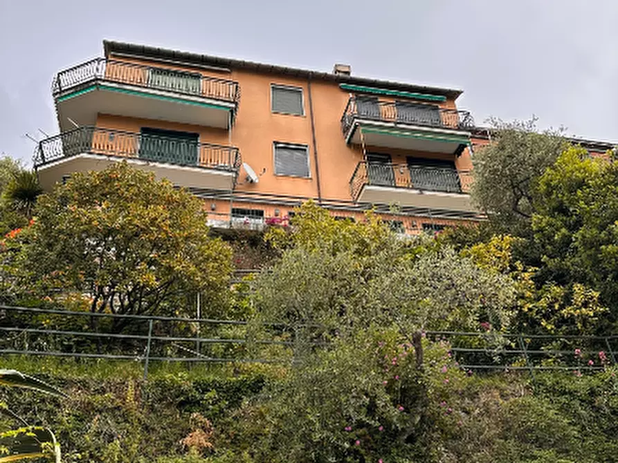 Immagine 21 di Trilocale in affitto  a Chiavari
