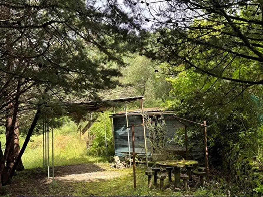 Immagine 7 di Terreno industriale in vendita  in Via degli Imberta a Londa