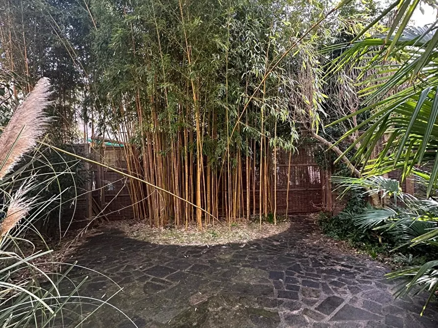 Immagine 17 di Stanza singola in affitto  in Piazza Indipendenza a Firenze