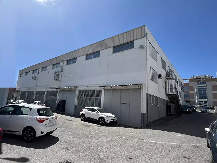 Immagine 11 di Magazzino in affitto  in Viale della Valle Lucrezia 50 a Catanzaro
