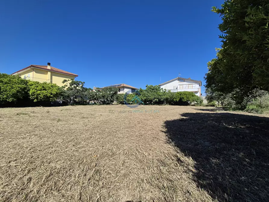 Immagine 3 di Terreno edificabile in vendita  in Via Giovanni Falcone 39 a Borgia