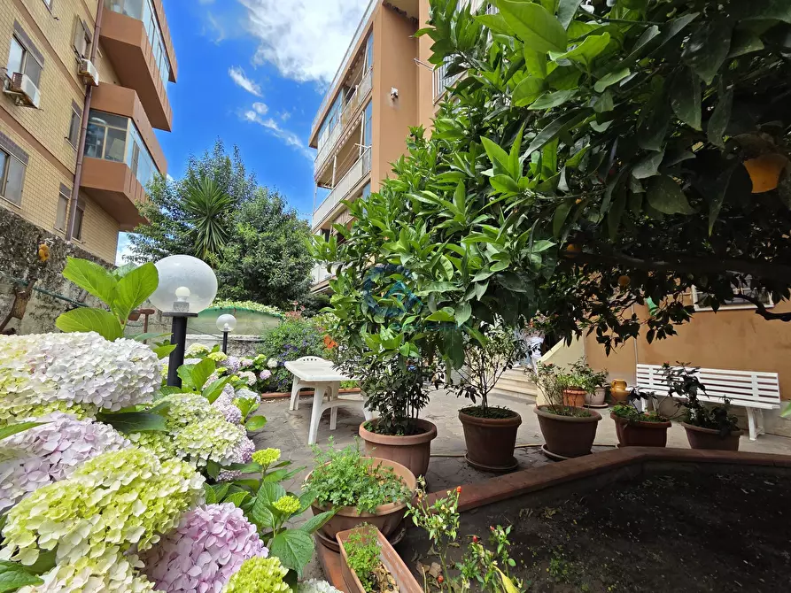 Immagine 1 di Quadrilocale in affitto  a Catanzaro