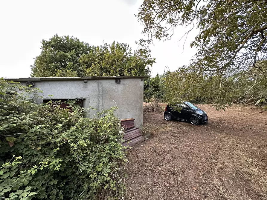 Immagine 6 di Terreno agricolo in vendita  in Via San Fantino a Borgia