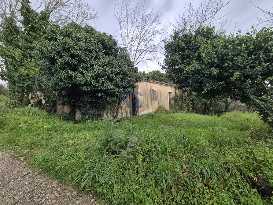 Immagine 1 di Magazzino in vendita  in CONTRADA CERASIA a Borgia