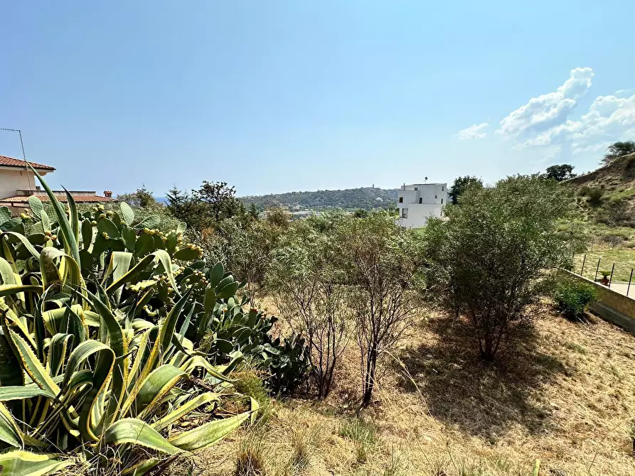 Immagine 4 di Terreno edificabile in vendita  a Montepaone