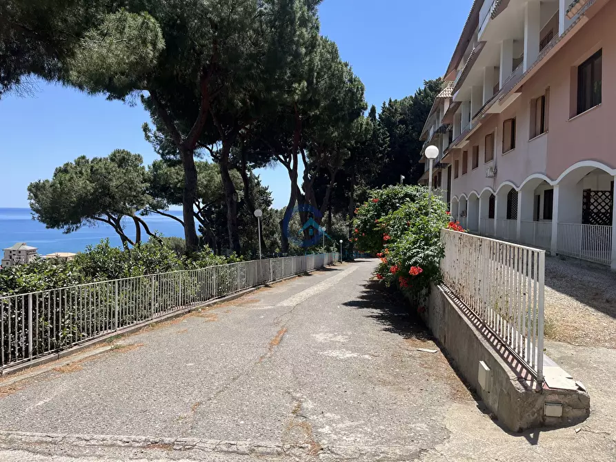 Immagine 14 di Attico in affitto  a Stalettì