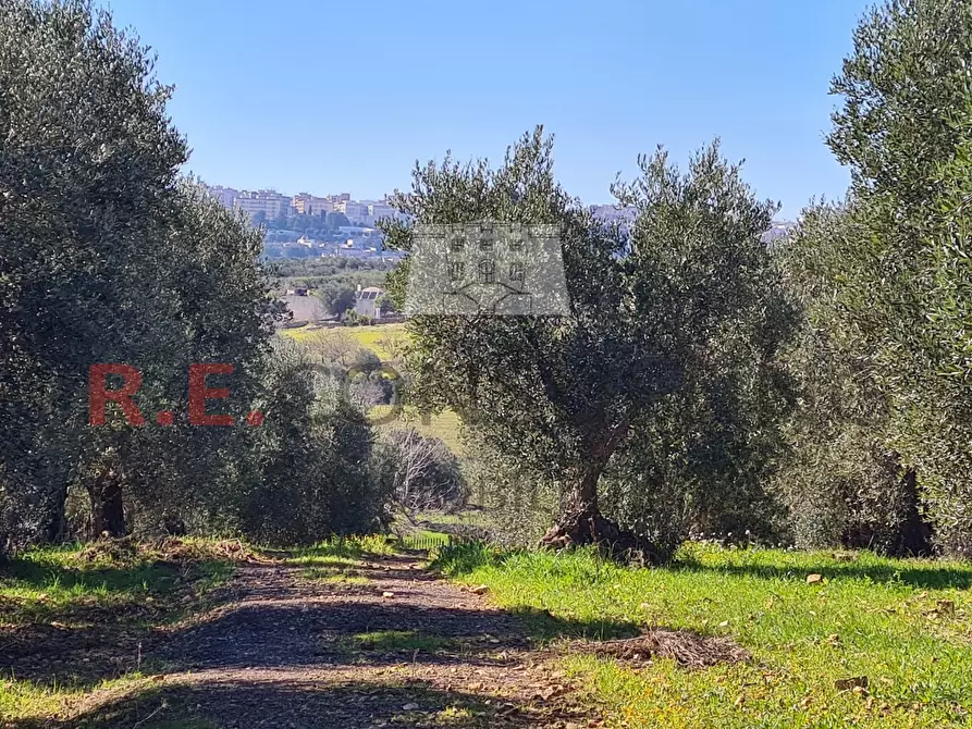 Immagine 39 di Baita in vendita  in Contrada Montemichele 14 a Ostuni